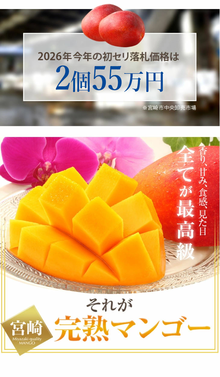 7月上旬頃より順次発送】2026 送料無料 宮崎完熟マンゴー 訳あり