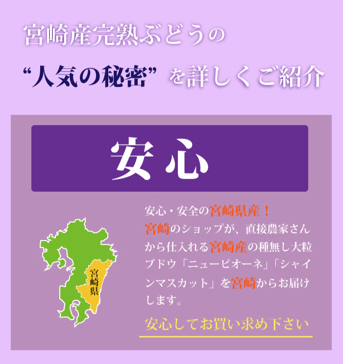 宮崎県産 ニューピオーネ シャインマスカット 梨