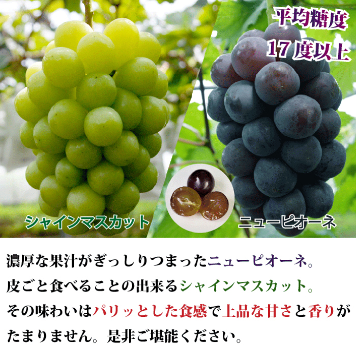 宮崎県産 ニューピオーネ シャインマスカット 梨