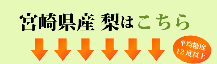 宮崎県産 梨