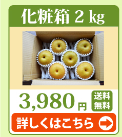豊水梨2kg