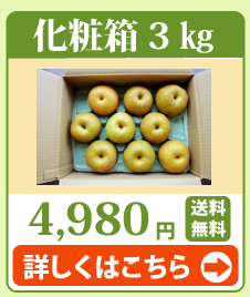 豊水梨3kg