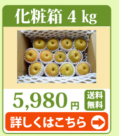 豊水梨4kg