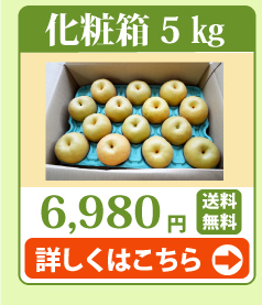 豊水梨5kg