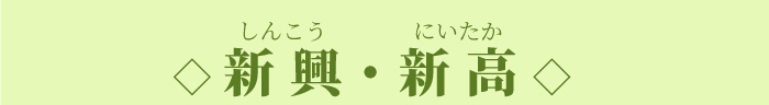宮崎県産 新興・新高