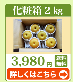 新興・新高2kg