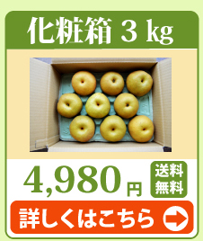新興・新高3kg