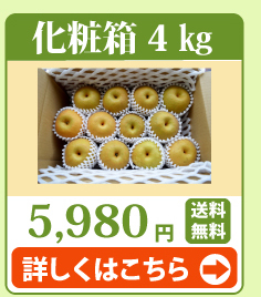 新興・新高4kg