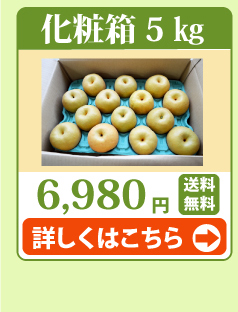 新興・新高5kg