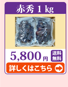 ニューピオーネ1kg