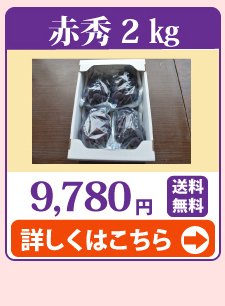 ニューピオーネ2kg