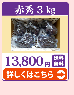 ニューピオーネ3kg