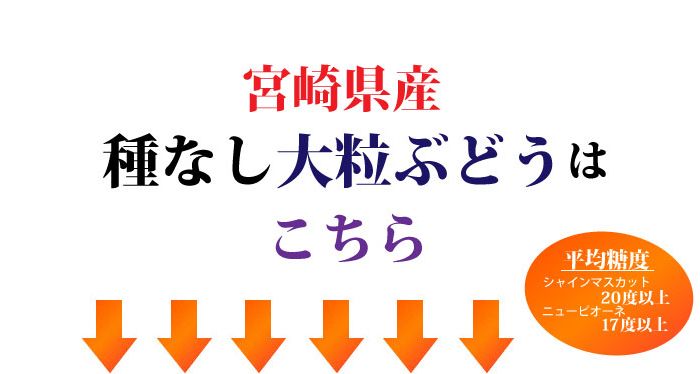宮崎県産 ニューピオーネ シャインマスカット 梨