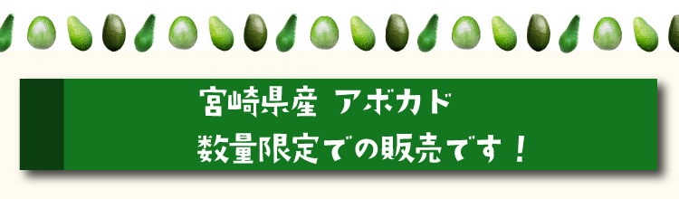 宮崎県産アボカド