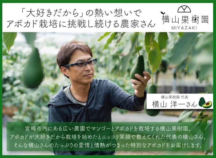 宮崎県産アボカド