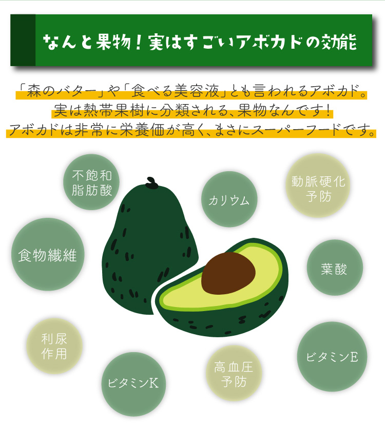 宮崎県産アボカド