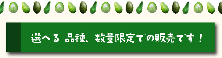 宮崎県産アボカド