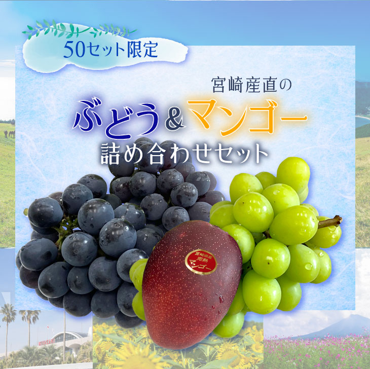50箱限定！☆ぶどう＆マンゴーギフトセット宮崎県産 ニュー