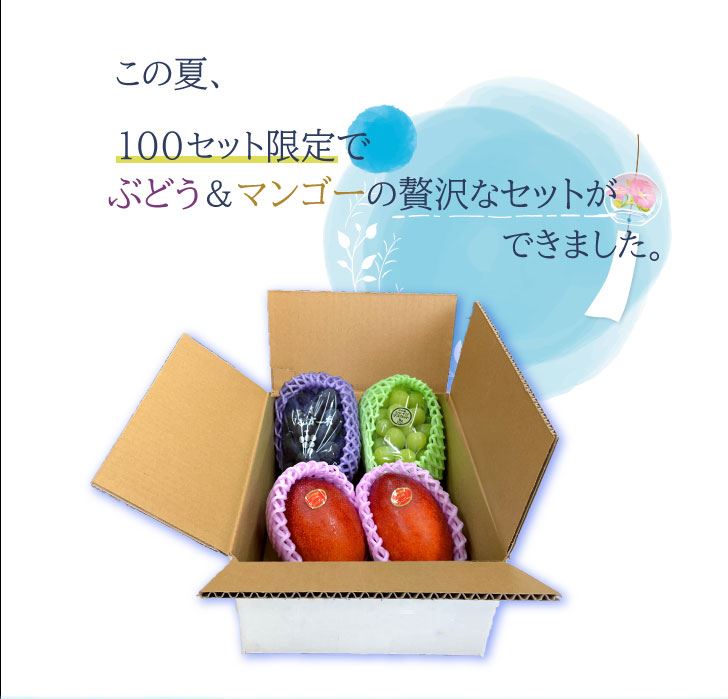 母の日マンゴーセット　　M2 母の日 マンゴー」の人気商品一覧 | 安い商品を通販サイトから