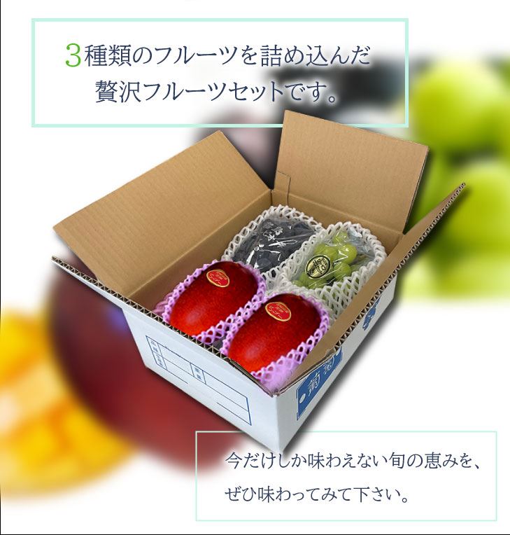 50箱限定！☆ぶどう＆マンゴーギフトセット宮崎県産 ニュー