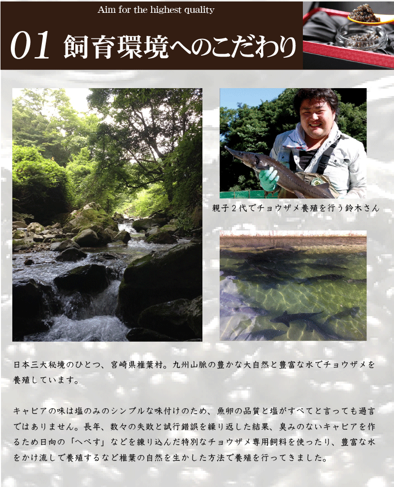 宮崎県産 キャビア 宮崎 椎葉平家キャビア 化粧箱入り 10g 低塩分 完熟