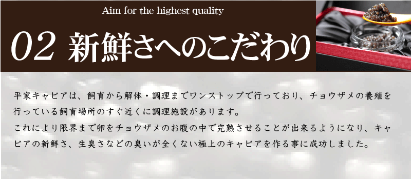 宮崎 キャビア 椎葉 平家キャビア 02 新鮮さへのこだわり