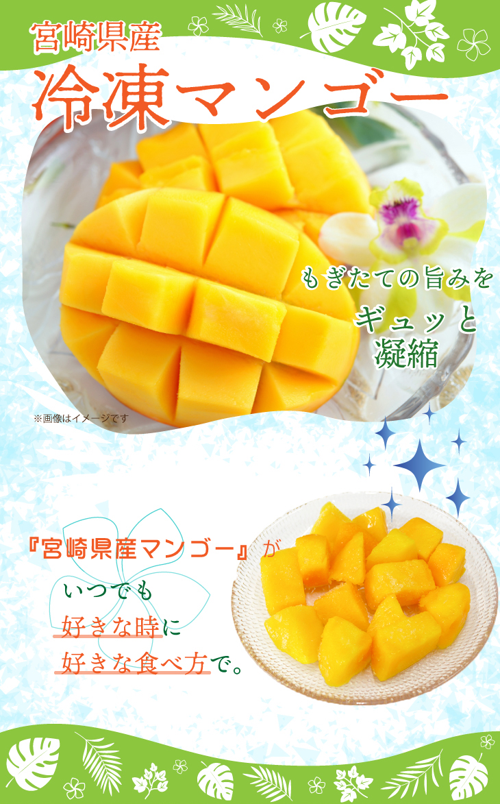 frozen_mango-1.jpg