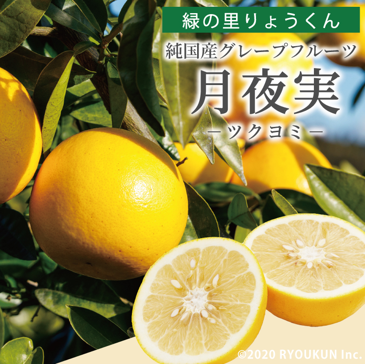 純国産グレープフルーツ 月夜実