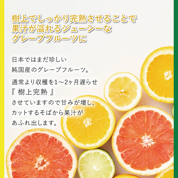 純国産グレープフルーツ 月夜実