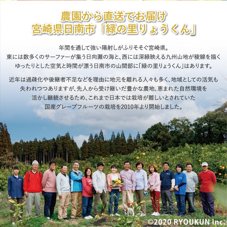 純国産グレープフルーツ 月夜実