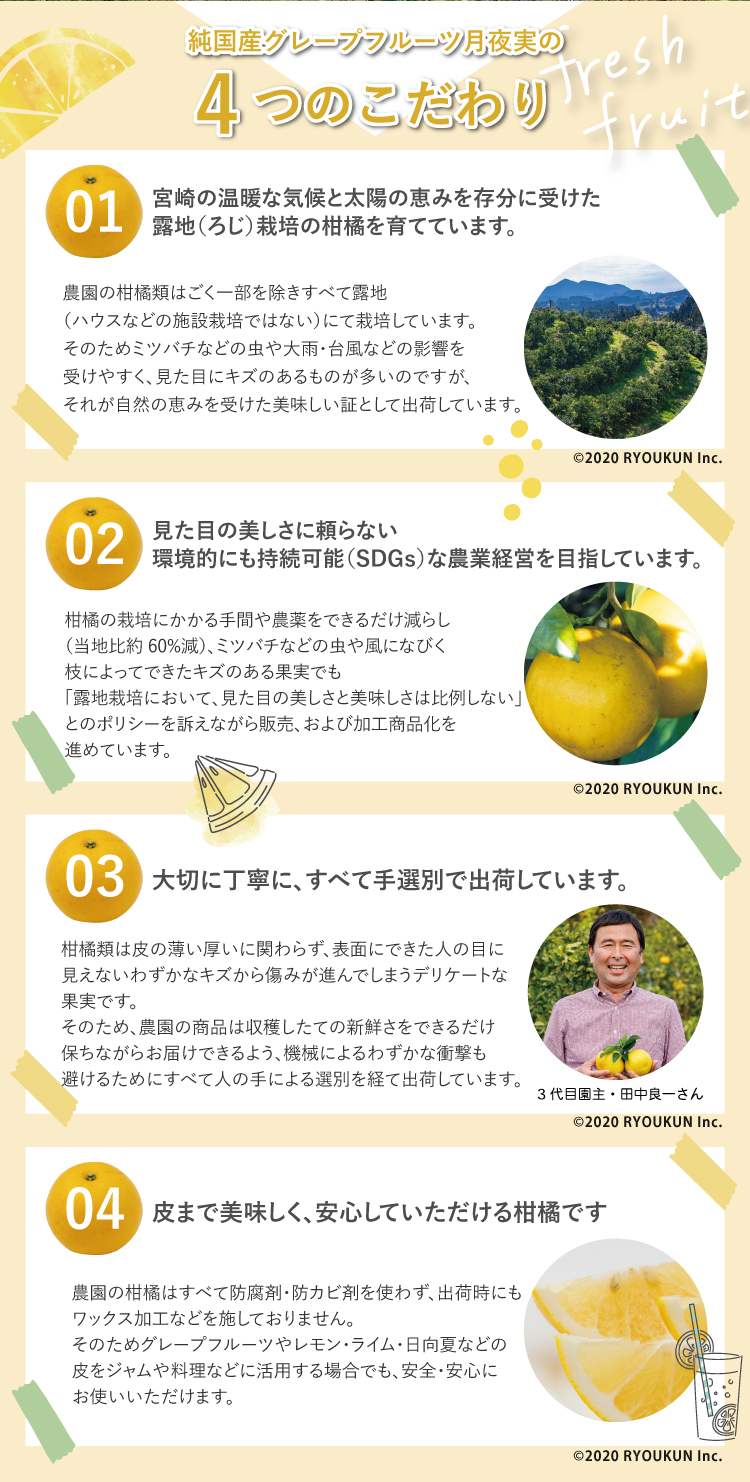純国産グレープフルーツ 月夜実