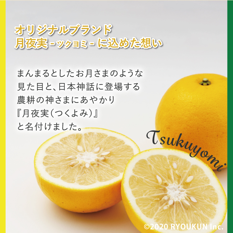 純国産グレープフルーツ 月夜実