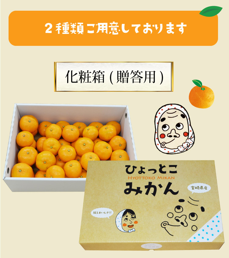 宮崎県日向市産 高級 ブランド みかん「 ひょっとこみかん」Mサイズ 約