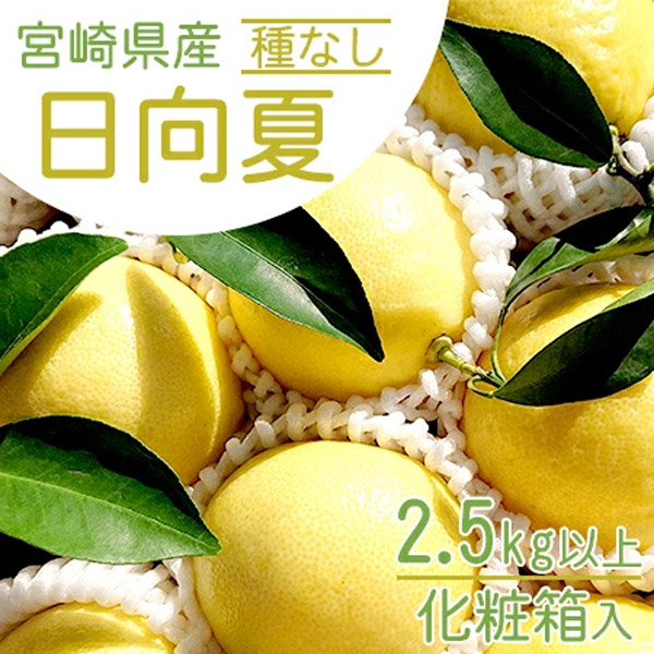 宮崎県産　種無し日向夏　20キロ 家庭用　超大特価‼️送料込み‼️ 2025年12月上旬頃より順次発送】宮崎県産 種なし日向夏 14玉/2.5kg