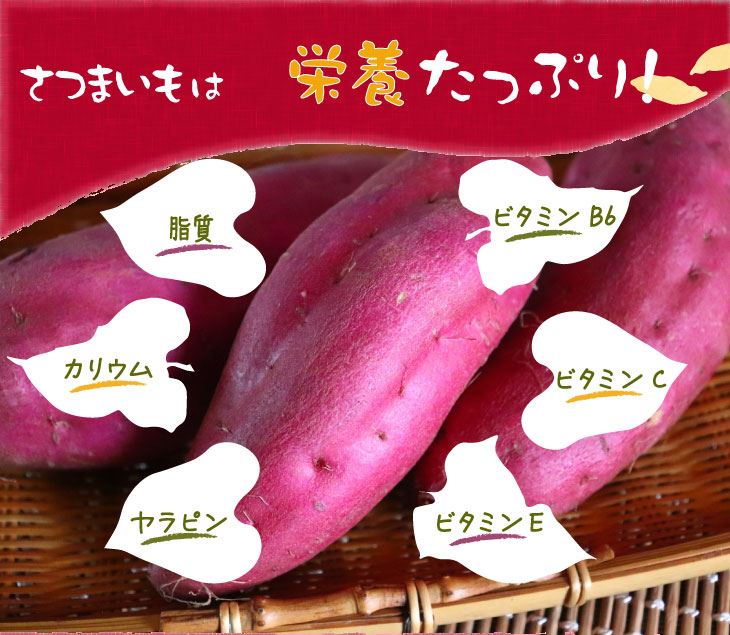 さつまいもの主な成分