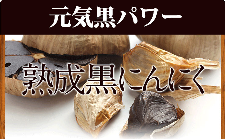 元気黒パワー　熟成黒にんにく