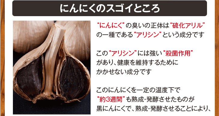 元気黒パワー　熟成黒にんにく