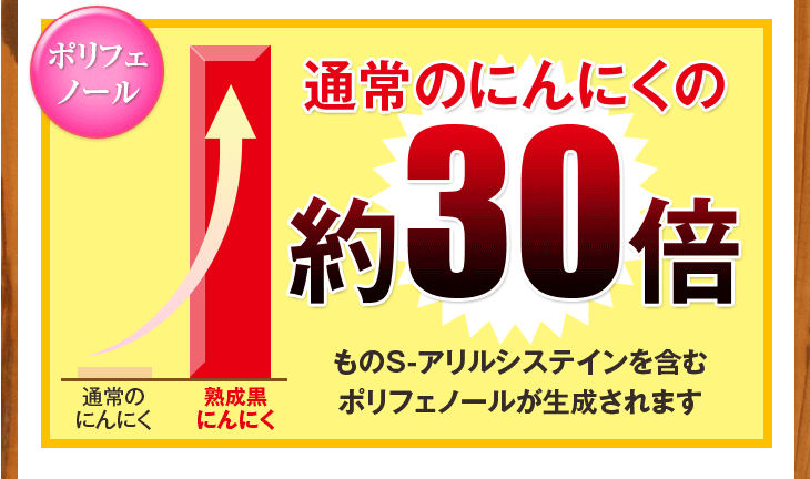 元気黒パワー　熟成黒にんにく