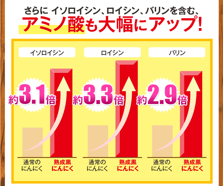 元気黒パワー　熟成黒にんにく