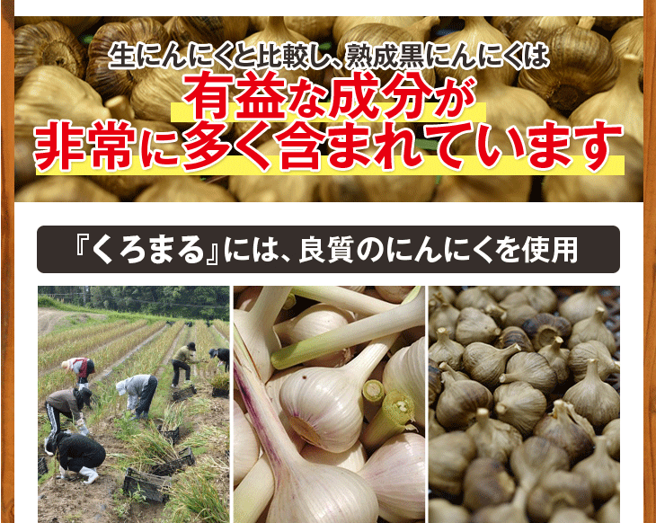 元気黒パワー　熟成黒にんにく