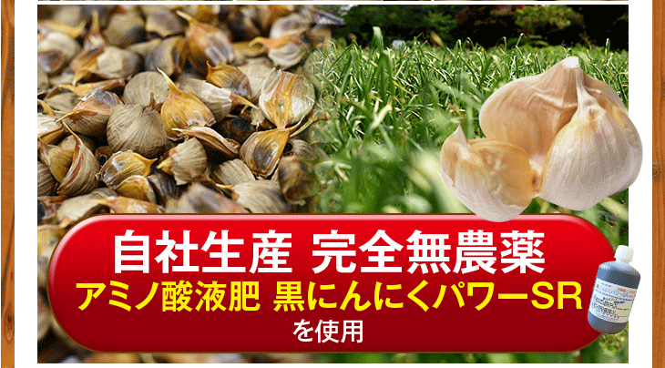 元気黒パワー　熟成黒にんにく