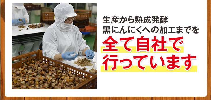 元気黒パワー　熟成黒にんにく