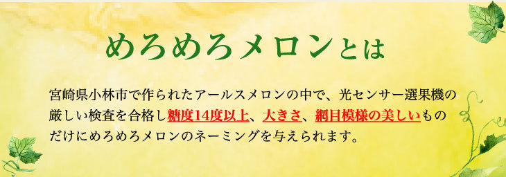 1月中旬以降順次発送】【宮崎県小林市産 めろめろメロン 赤青セット】爽やかな青肉と芳醇でまろやかな赤肉の贅沢なセット 温室栽培の香り高いメロン :  meromero-aka-ao : 宮崎産直 ヤフーショッピング店 - 通販 - Yahoo!ショッピング