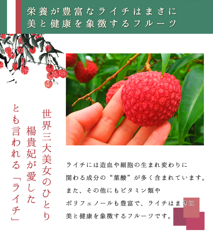 限定販売】【7月中旬頃より順次発送】宮崎県産 生ライチ〈モリノライチ