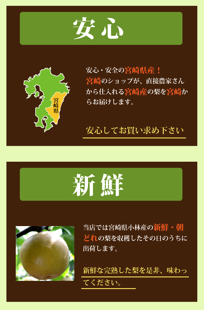 宮崎、豊水梨、新興梨、新高梨、産地直送