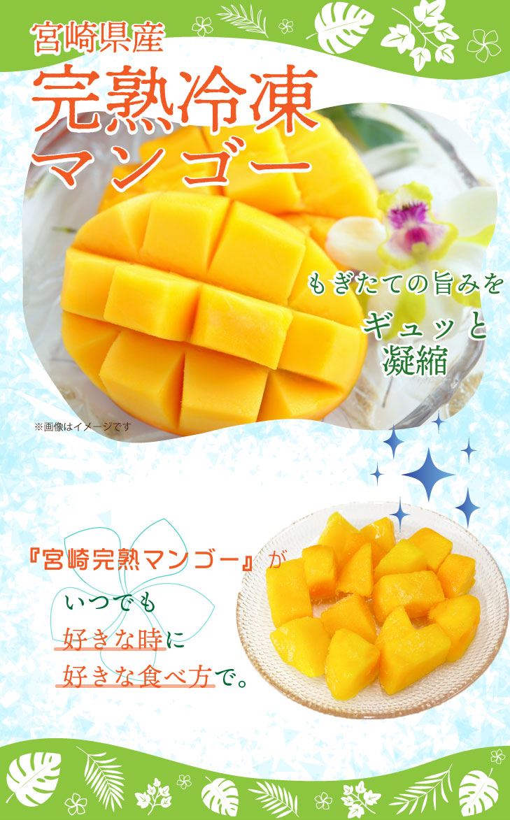 宮崎完熟 冷凍マンゴー スライスタイプ ( 500g×4パック ) 9月上旬