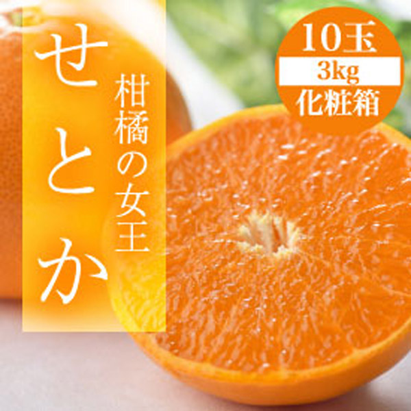 せとか10㎏　3/5 3月下旬以降順次発送】宮崎県産 せとか 10玉 3kg 化粧箱入り みかん