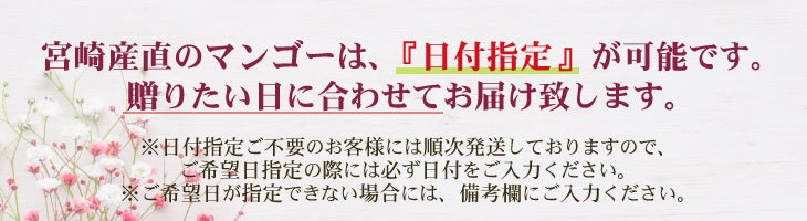 2024 宮崎完熟マンゴー 秀品-通常玉（青秀）大サイズ×1玉 宮崎産 完熟