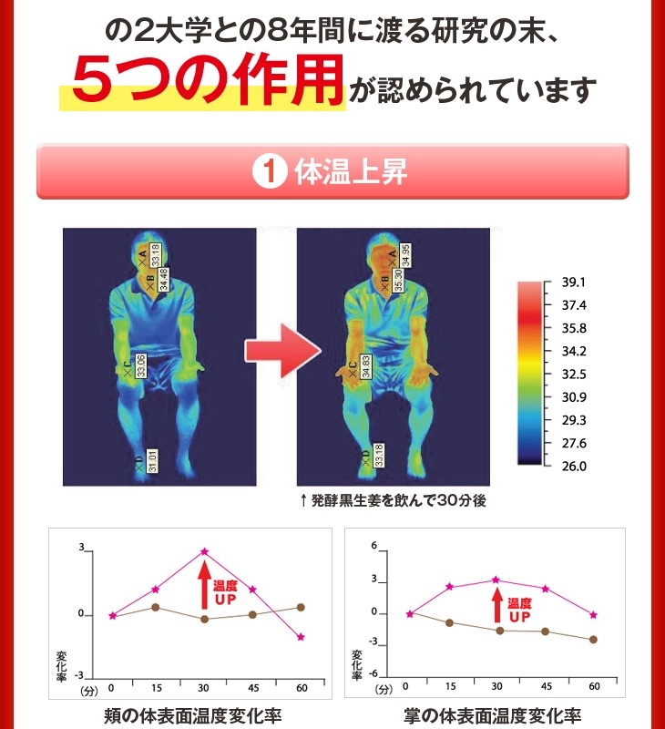 スリムティー