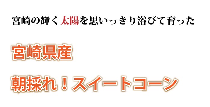 宮崎県産ゴールドラッシュ